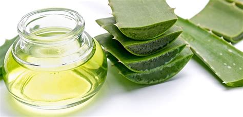 Aloe Vera Maskelerinin Faydaları, Cilt Yatıştırma ve İltihap Azaltma