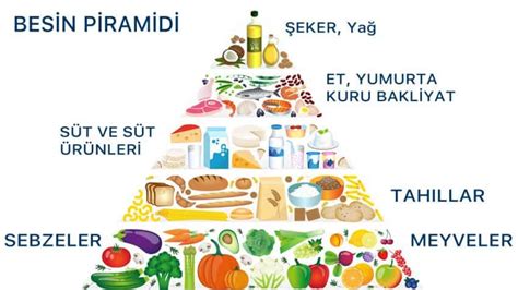 Dengeli Beslenme Rehberi: Sağlık İçin Gerekli Besin Öğeleri